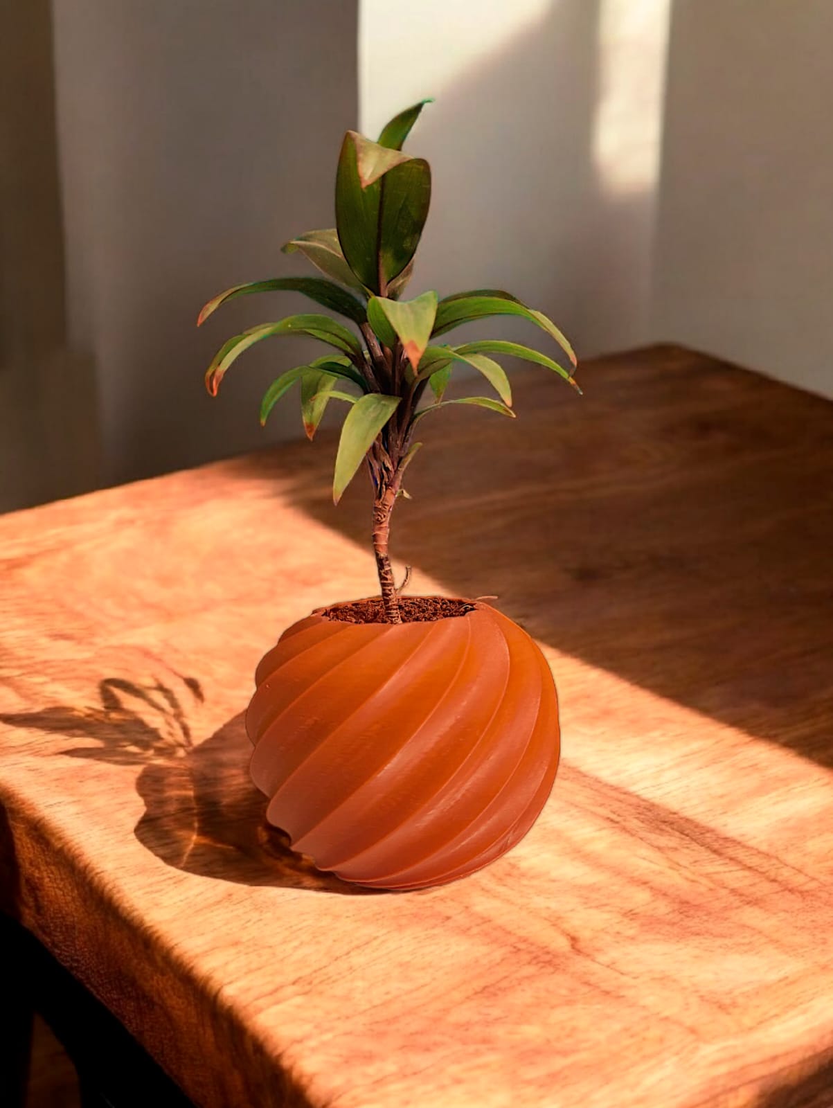 Orbit Planter - Set of 5
