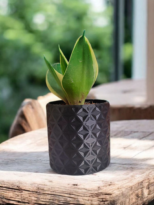 Luxe Diamond Planter - Set of 5
